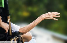 Norwest Chiro Blog Reverse Cognitive Decline