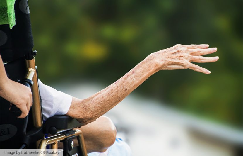 Norwest Chiro Blog Reverse Cognitive Decline