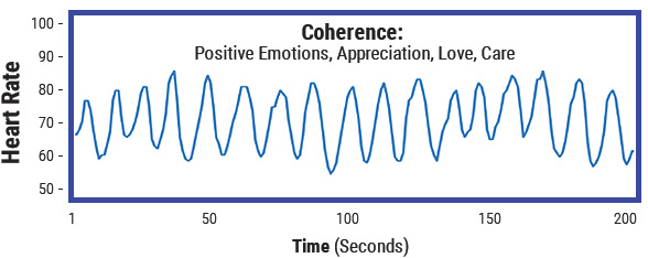 heart brain coherence physics